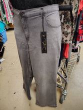 Load image into Gallery viewer, DG2 Diane Gilman NWT gray stretch jeans size 26W short