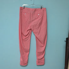 Load image into Gallery viewer, Lane Bryant sz14 Pink Twill Pants