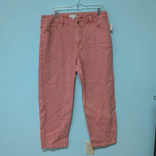 Load image into Gallery viewer, sz14W Ava &amp; Viv Ash Rose Denim