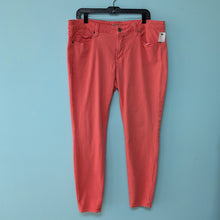 Load image into Gallery viewer, Stylus Coral Jeggings sz16