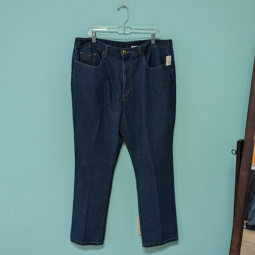 20W Denim Jeggings