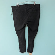 Load image into Gallery viewer, Sz22W Black Earl Jeans Jeggings