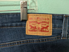 Load image into Gallery viewer, Sz24W Levi Strauss Boyfriend Denim