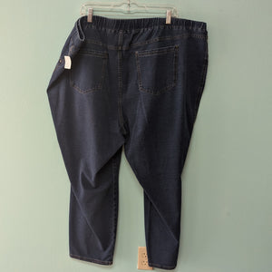 Sz4X Catherine's Blue Denim Pull On Jeggings