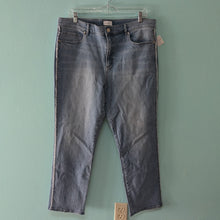 Load image into Gallery viewer, Sz16 Loft Frayed Edge Denim