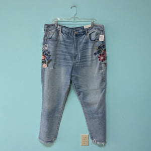 Sz18 American Eagle Embroidered Denim