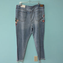 Load image into Gallery viewer, Sz18 American Eagle Embroidered Denim