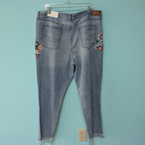 Sz18 American Eagle Embroidered Denim