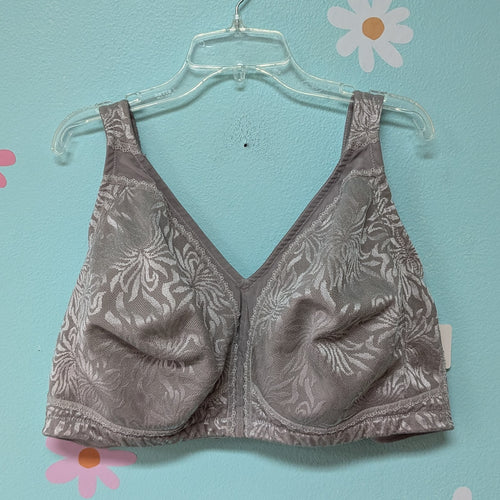 Sz44G Silver Bra