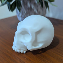 Load image into Gallery viewer, 3D Printed White Small Skull