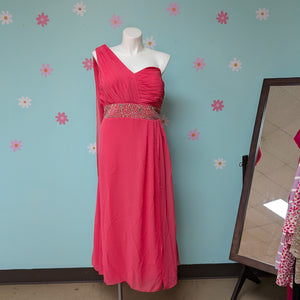 Sz20W/22W Bright Pink Chiffon Long Dress