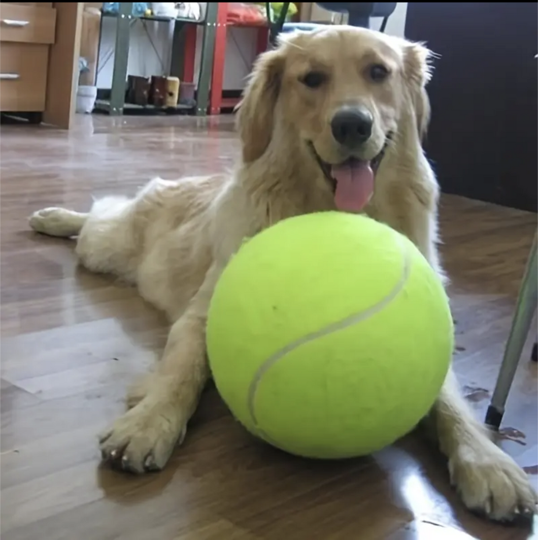Ridiculously Large Tennis Ball