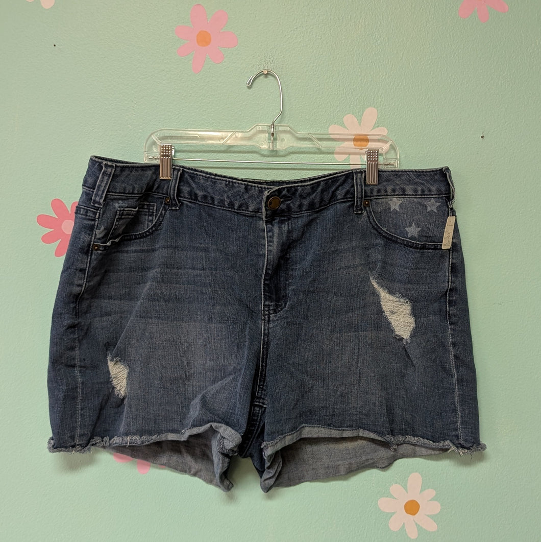 Sz22 Lane Bryant Star Denim Shorts