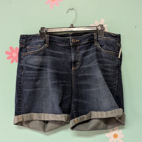 Sz20W Boutique+ Denim Shorts Midrise