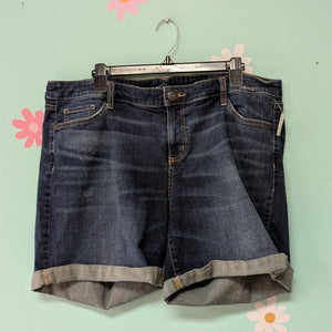 Sz20W Boutique+ Denim Shorts Midrise