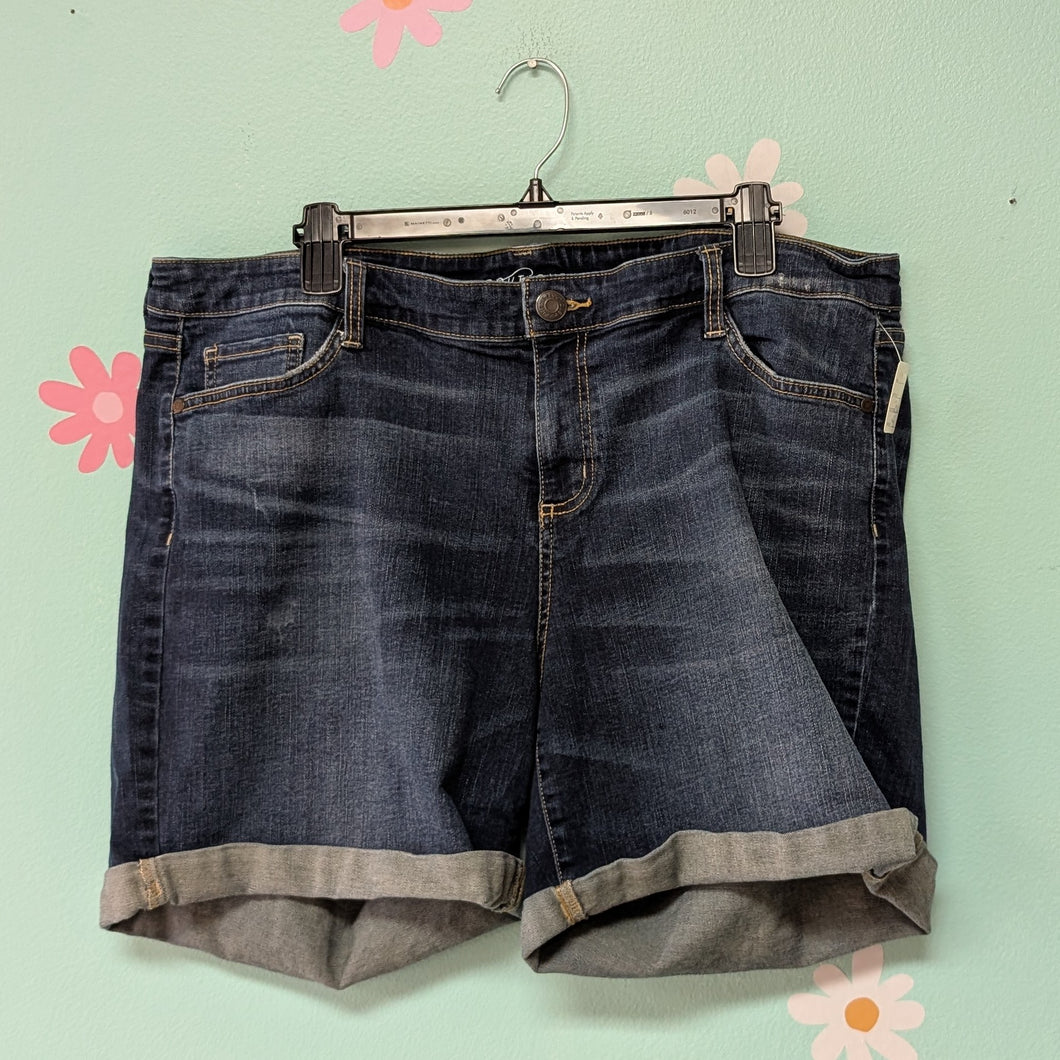 Sz20W Boutique+ Denim Shorts Midrise