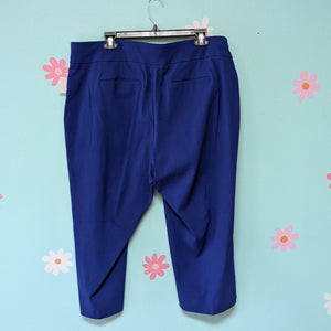 Sz20W Studio Works Royal Blue Pull On Capri