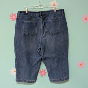 SzXL Time & Tru Medium Denim Pull on Capri