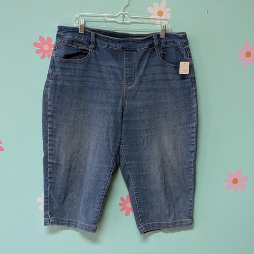 SzXL Time & Tru Medium Denim Pull on Capri