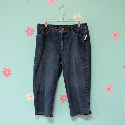 Sz18 Gloria Vanderbilt Denim Capri